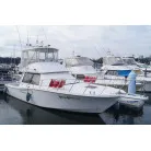 1994 41ft Pre-Owned Japanese Luxury Vessel