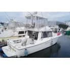 1994 41ft Pre-Owned Japanese Luxury Vessel