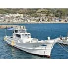 41ft Pre-Owned Japanese Luxury Vessel